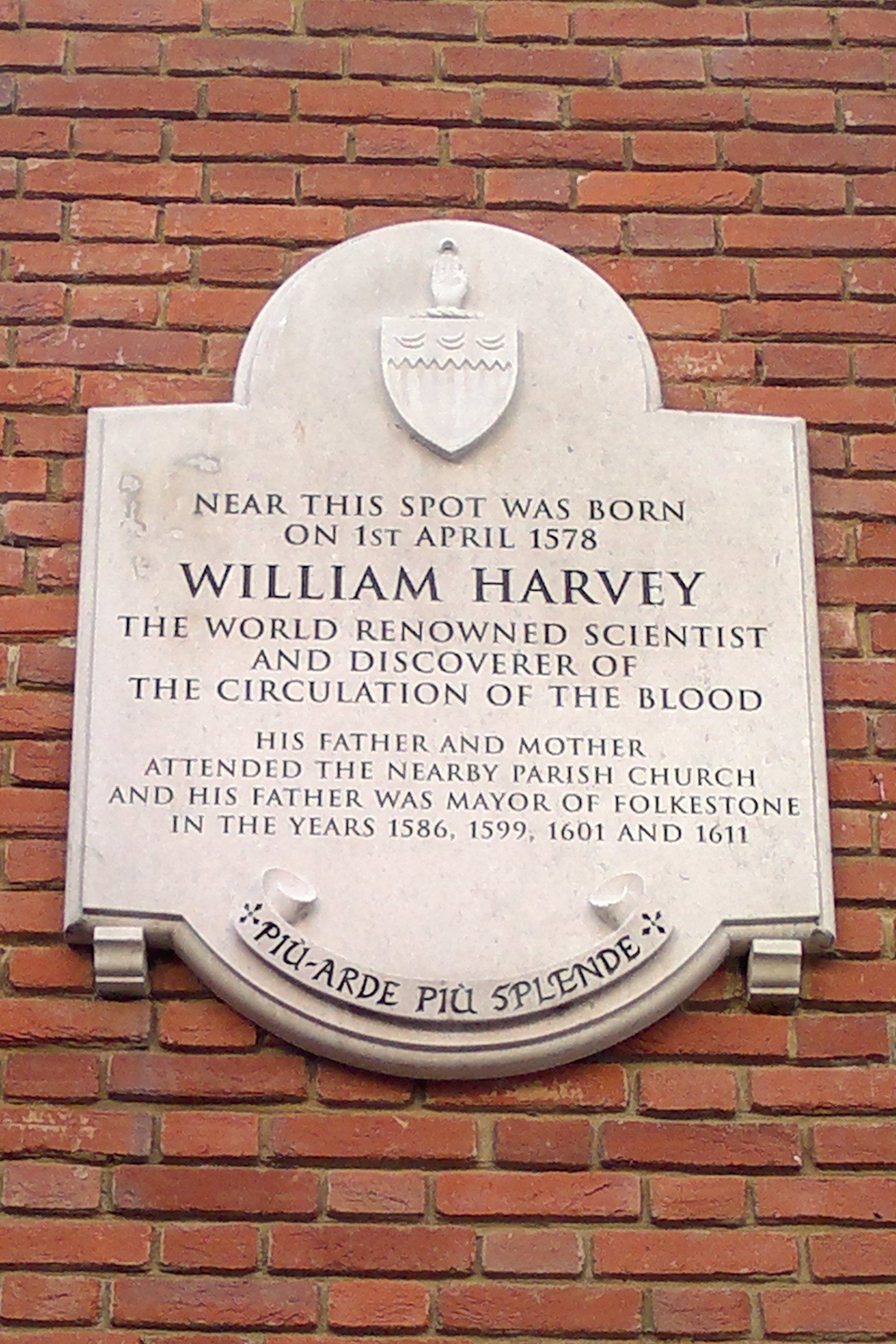 William%20Harvey%27s%20birthplace%2C%20Folkestone%20by%20Giuseppe%20Serena%20-%2002.jpg